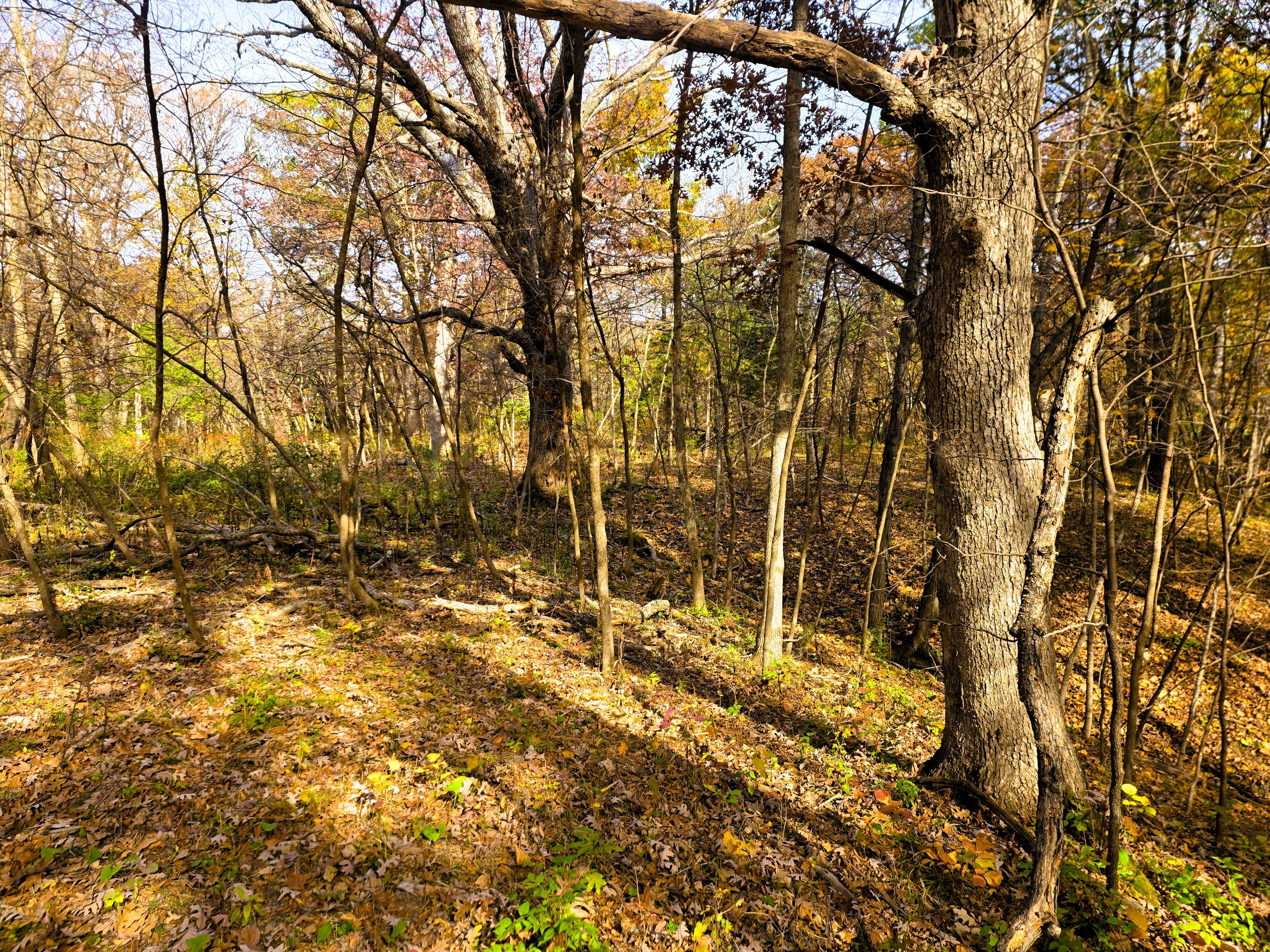 Listing Photo: Ground 8
